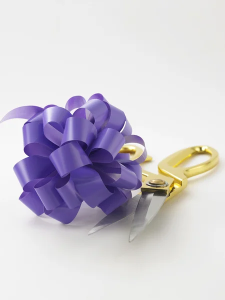 Purple ribbon bows — Stock Photo, Image