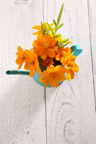 Flower arranged with mini watering can — Stock Photo, Image