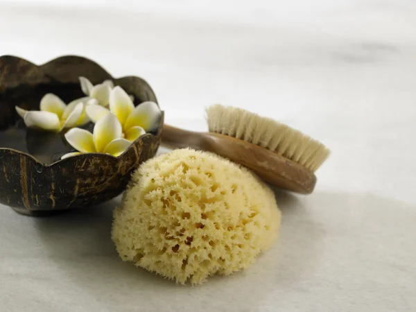 Sponge, wooden brush and bowl — стоковое фото