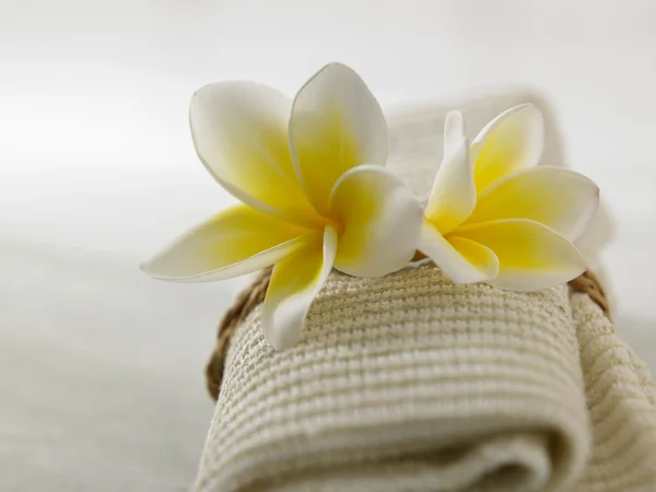 Frangipani üzerinde el havlusu — Stok fotoğraf