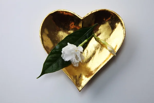 Flor de jasmim em coração dourado — Fotografia de Stock