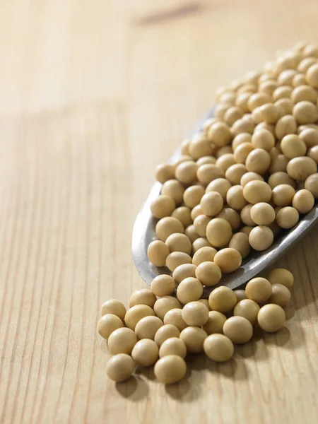 Colher dos grãos de soja — Fotografia de Stock
