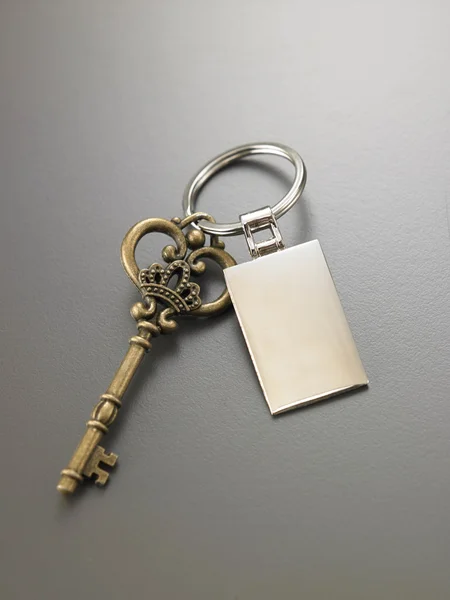 Old key with new key chain — Stock Photo, Image