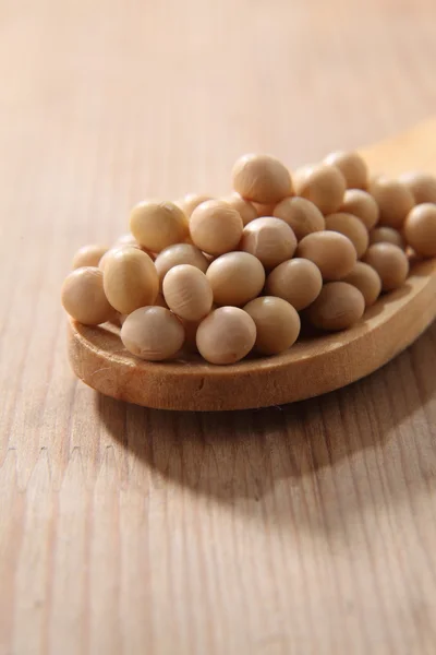 Spoon full of the soy beans — Stock Photo, Image