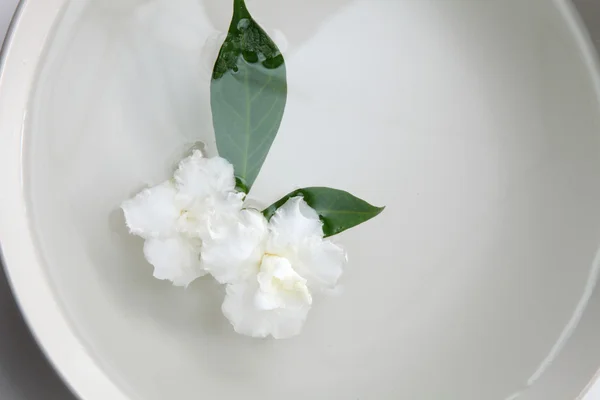Жасминовые цветы в миске — стоковое фото