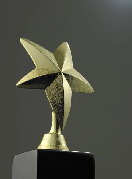 Premio Stella d'oro — Foto Stock