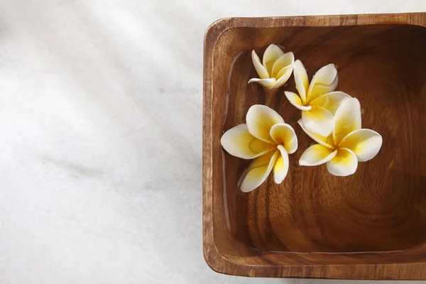 Gul frangipani blomma — Stockfoto