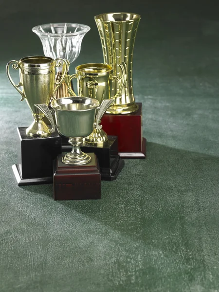 Group of trophy on the green background — Stock Photo, Image