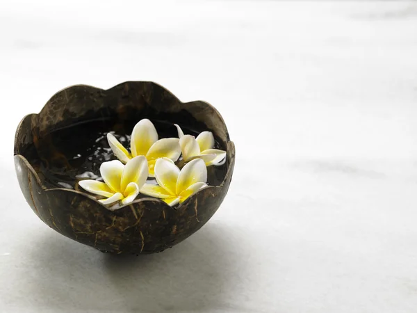 Coconut bowl with frangipani flower — Stock Photo, Image