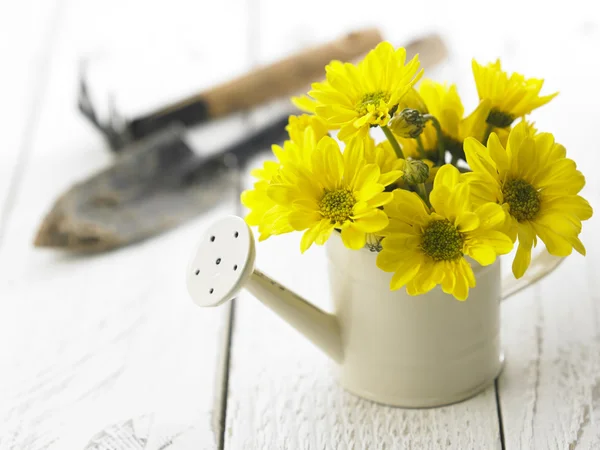 Zahradnictví nástroj a květiny — Stock fotografie