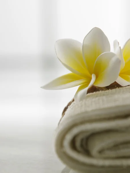 Frangipani on the hand towel — Stock Photo, Image