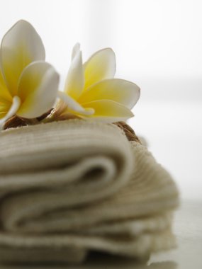 Frangipani üzerinde el havlusu