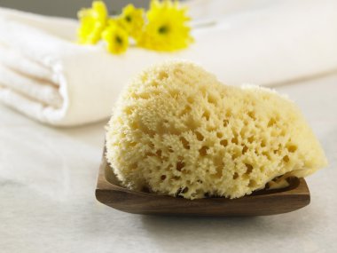 Havlu önünde doğal sünger
