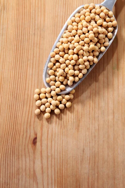 Scoop of the soy beans — Stock Photo, Image