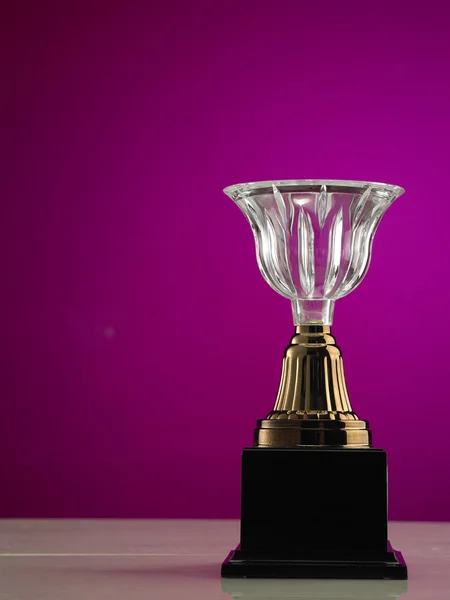 Trophäe vor rosa Hintergrund — Stockfoto