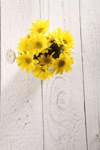 Квітка, обладнана міні-балончиком для поливу — стокове фото