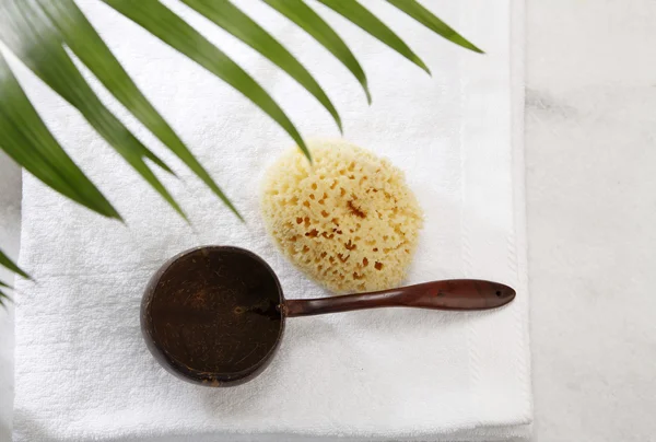 Вид сверху на панцирь губки и кокосового ореха — стоковое фото