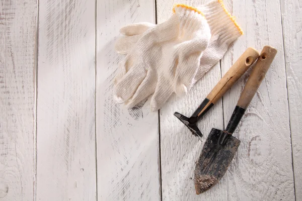Gardening tools on wooden floor — Stock Photo, Image