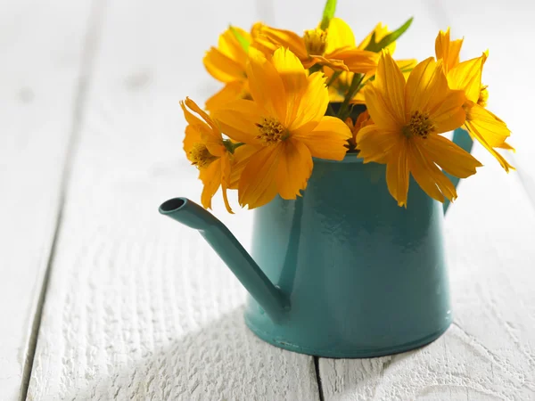 Blume auf der Mini-Gießkanne — Stockfoto