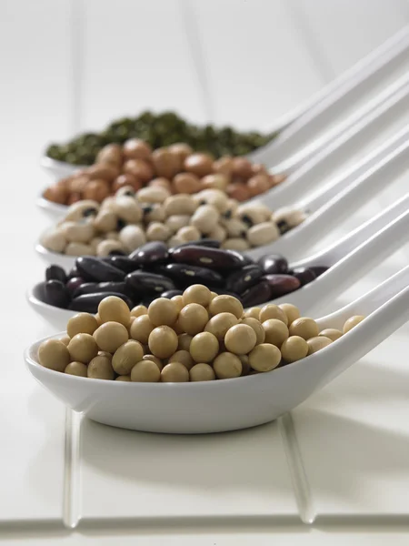 Variety of beans group — Stock Photo, Image