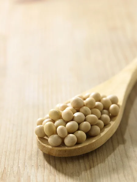 Cucchiaio pieno di semi di soia — Foto Stock