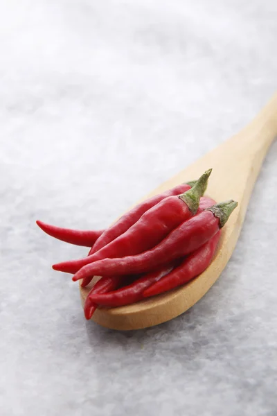 Neloupanou červených chilli — Stock fotografie