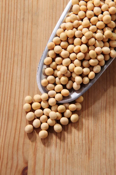 Scoop of the soy beans — Stock Photo, Image