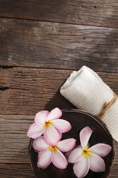 Frangipani flower and hand towel — Stock Photo, Image