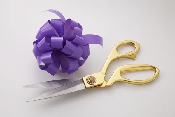 Фіолетовий стрічкою луків — стокове фото