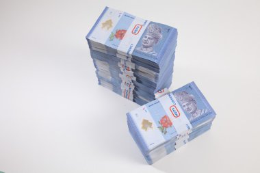 Beyaz arka plan üzerinde Malezya Ringiti