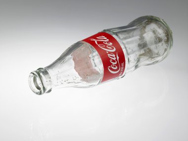 Empty bottle with ants