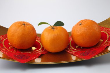 Mandarin portakal plaka üzerinde