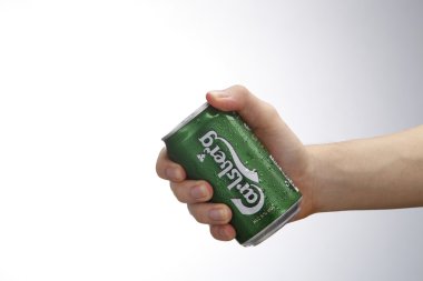 Carlsberg bira olabilir