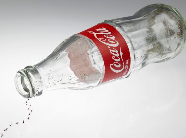 Empty bottle with ants