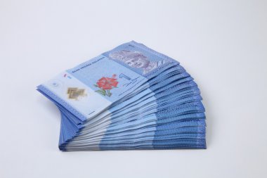 Beyaz üzerine Malezya Ringiti