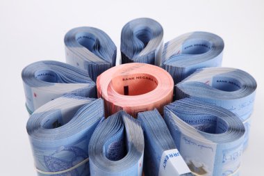 Beyaz üzerine Malezya Ringiti