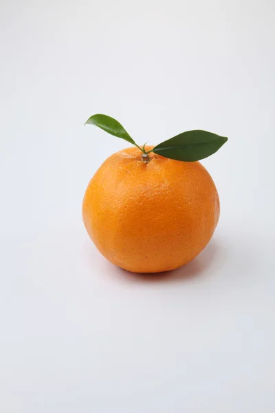 One mandarin orange — Stock Photo, Image
