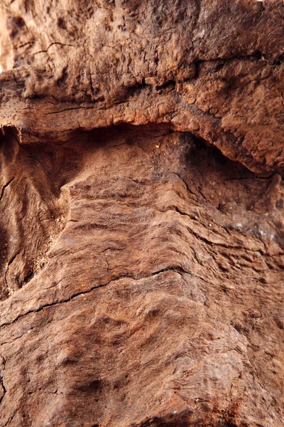 Textura de madera vieja —  Fotos de Stock