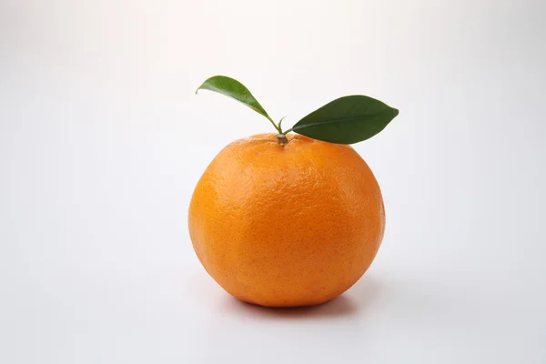 One mandarin orange — Stock Photo, Image