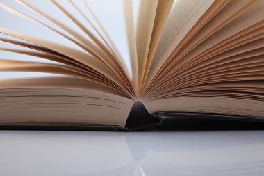 Kitap sayfaları Fanlı