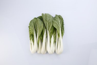 Pak choy veya sawi putih