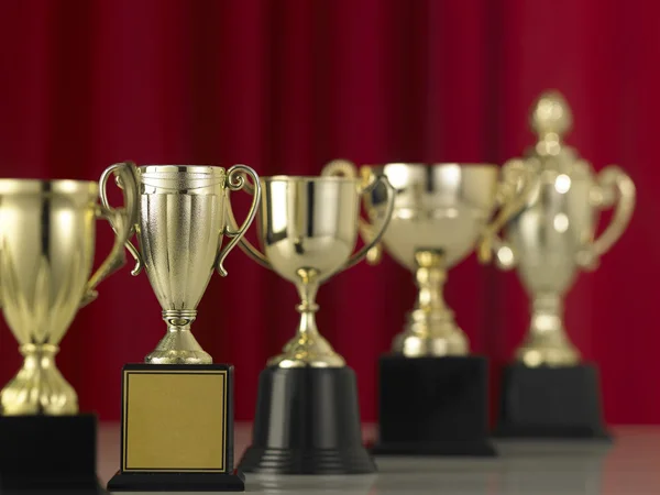 Taças de troféu lustrosas variedade — Fotografia de Stock