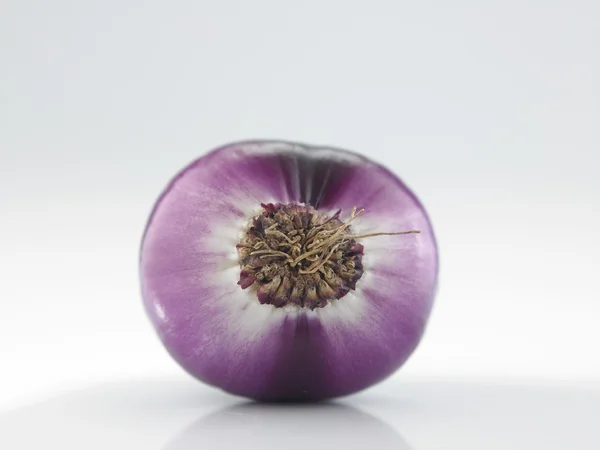 Fresh onion on white — Stock Photo, Image