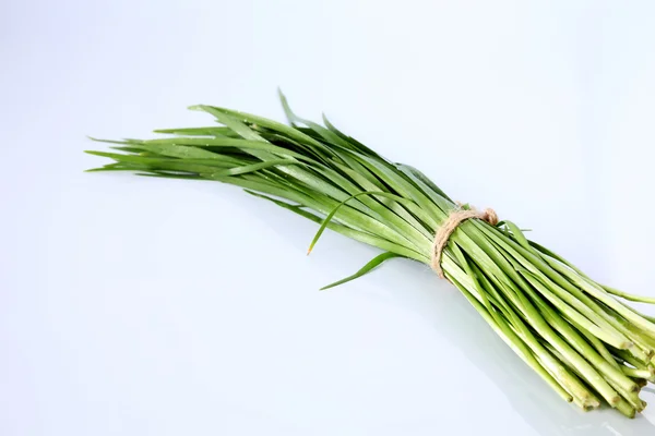 Green garlic chives — Stock Photo, Image