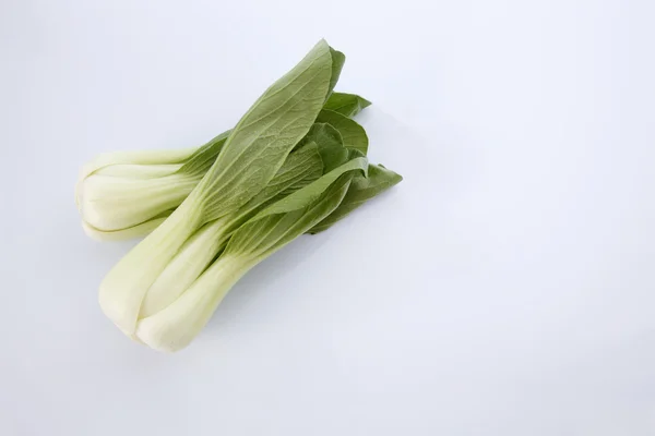 Green Bok choy — Zdjęcie stockowe