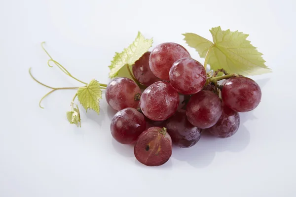 Čerstvé červené hroznové víno — Stock fotografie