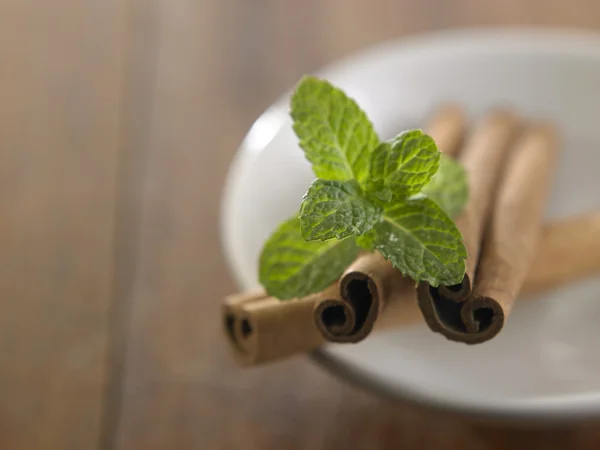 Mint with fragrant cinnamon — Stock Photo, Image
