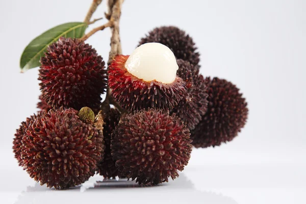 Kapoelasan of kapulasan vruchten — Stockfoto