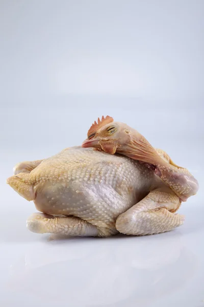 One crude hen — Stock Photo, Image