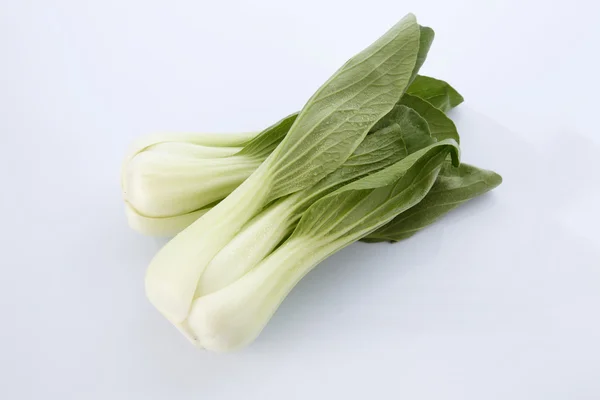 Green Bok choy — Zdjęcie stockowe